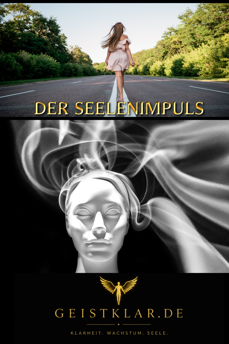 DER SEELENIMPULS - WENN DU ORIENTIERUNG BRAUCHST