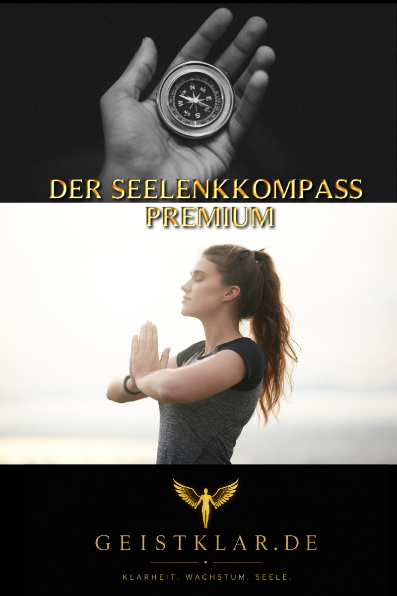 DER SEELENKOMPASS  PREMIUM- DIE INTENSIVE PREMIUM BEGLEITUNG